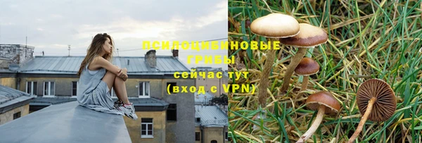 кокаин премиум Богородицк